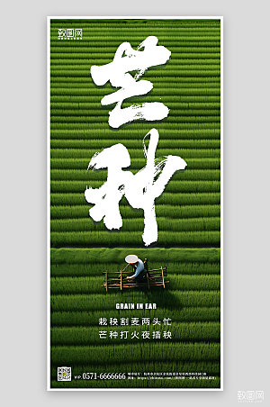 中国传统节气芒种农民农田手机海报