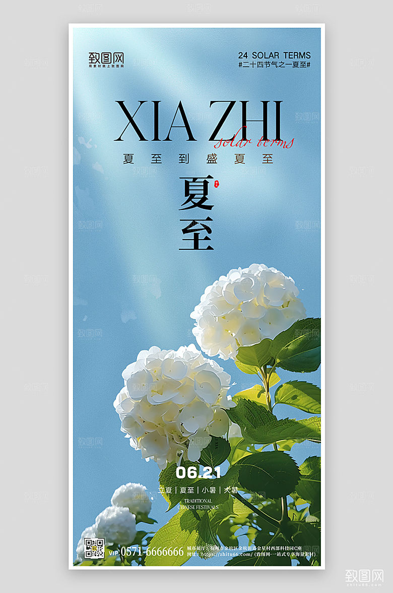 传统节气夏至绣球花简约海报