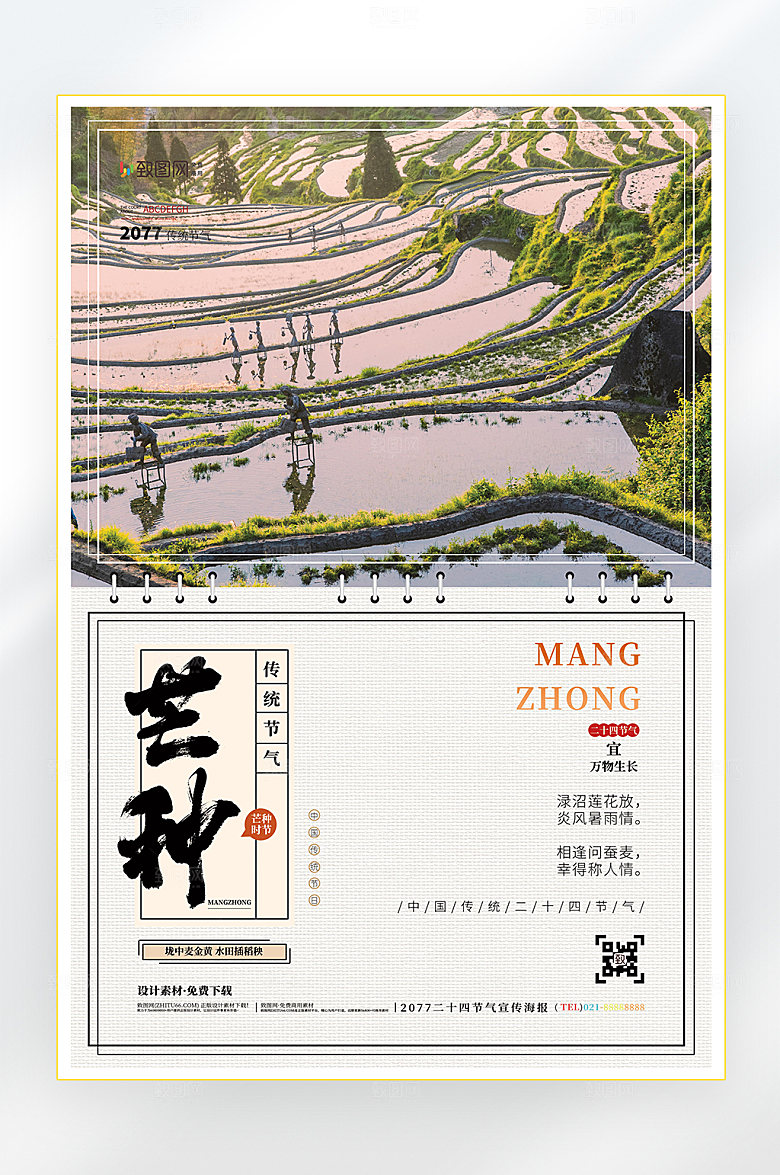 二十四节气芒种节气海报