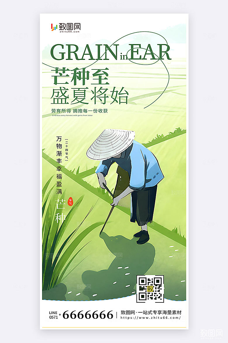 插画风简约大气芒种节气宣传手机海报
