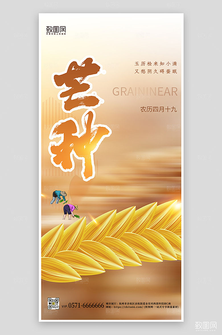 传统节气芒种黄色简约手机海报