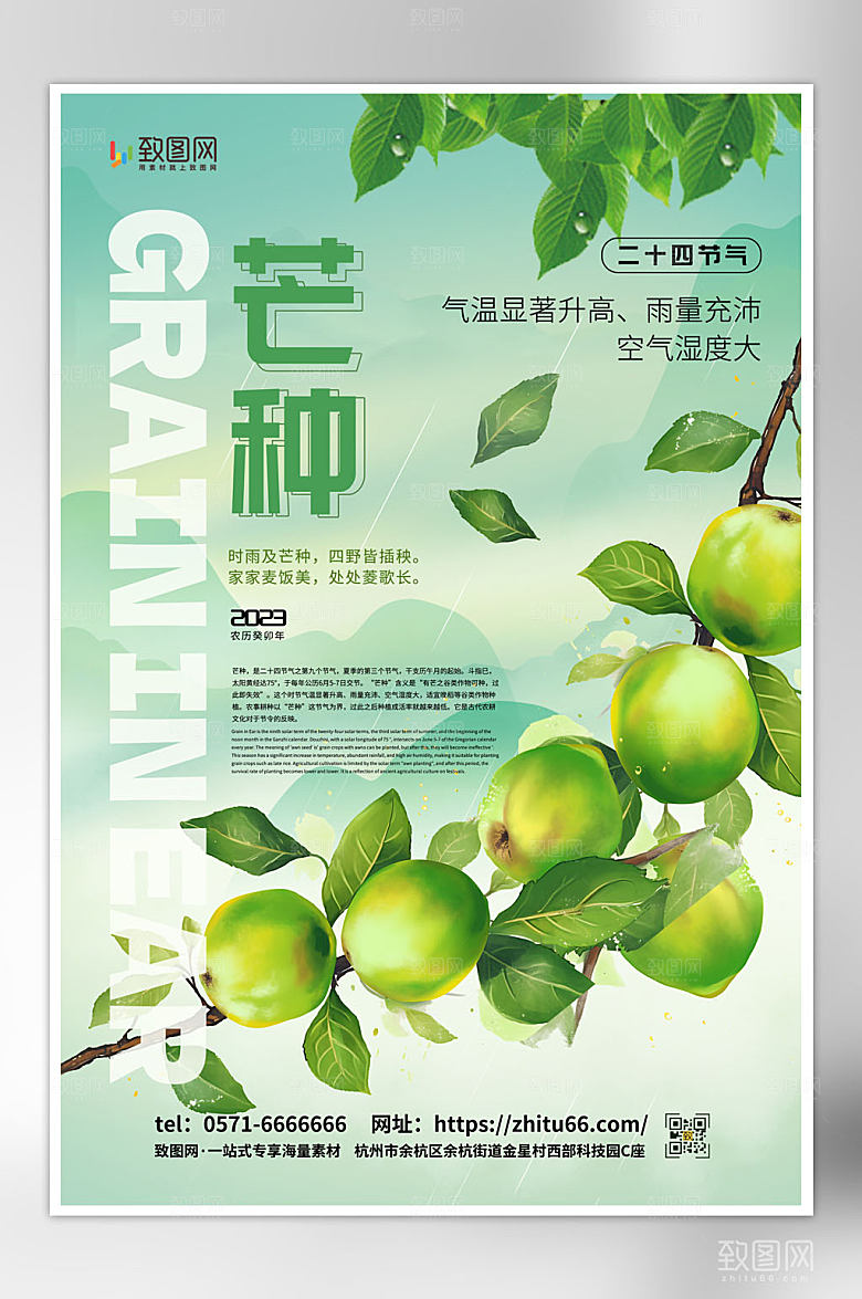 大气简约创意芒种传统24节气海报