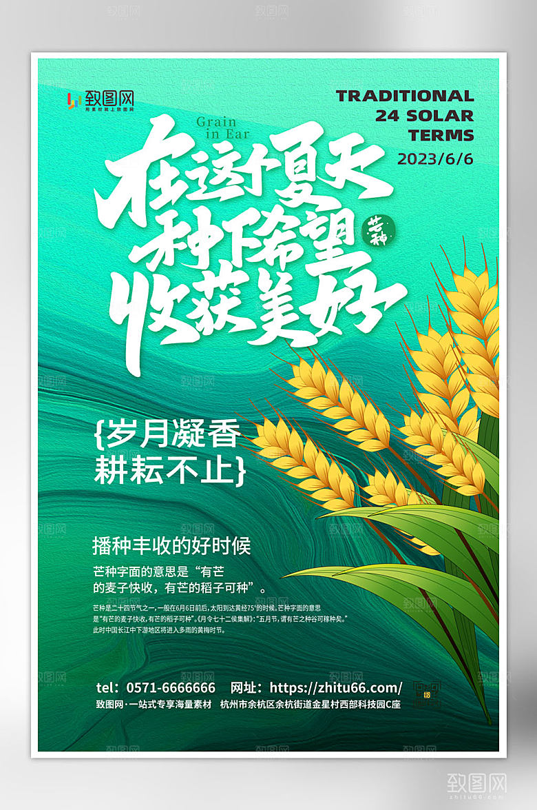 大气中国风芒种海报芒种节气海报