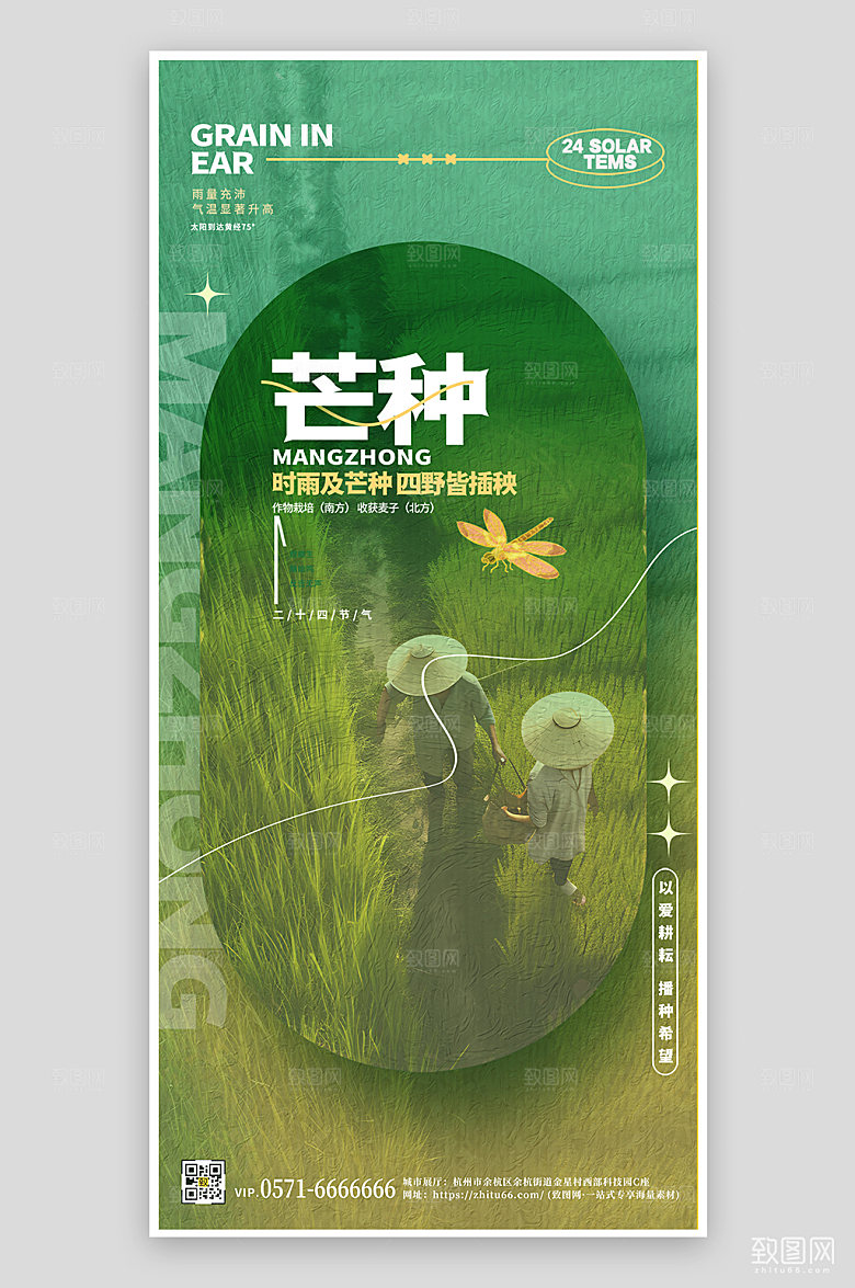 中国传统节气芒种手机海报