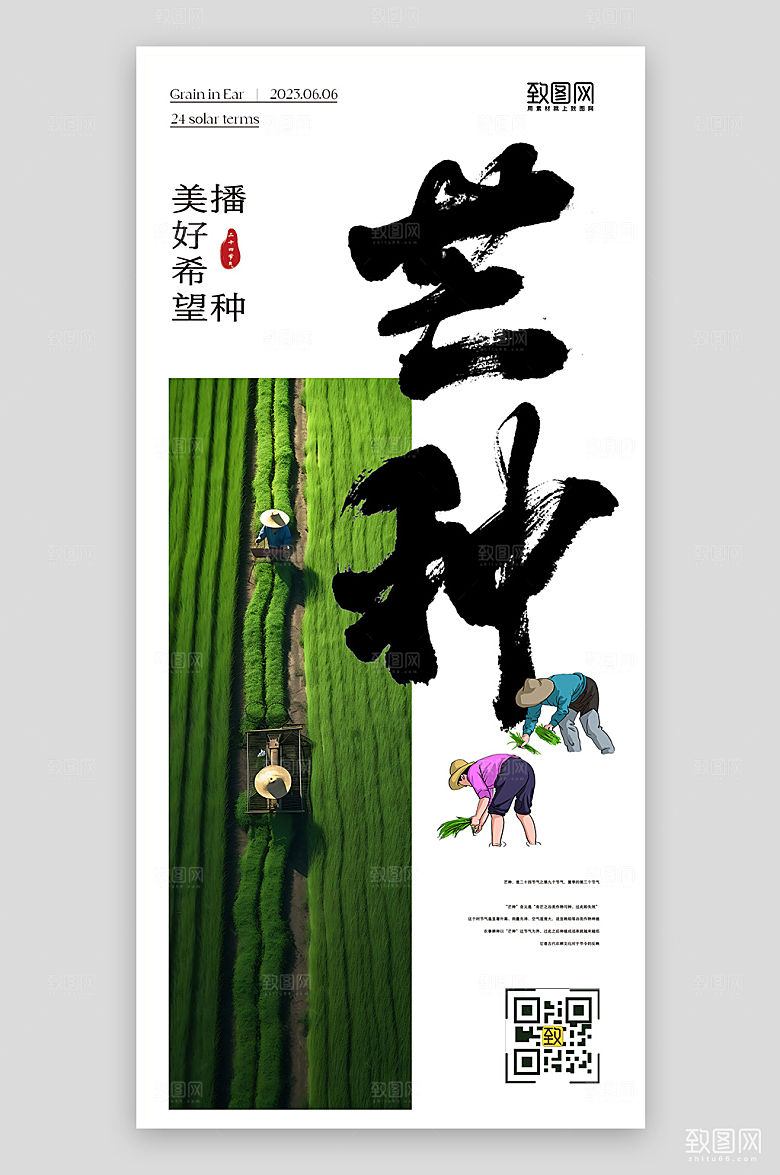 传统节气芒种简约手机海报