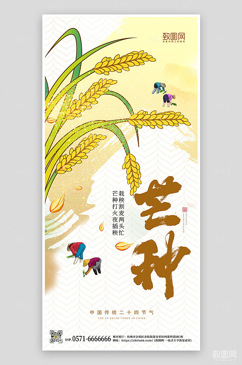 中国传统节气芒种手机海报