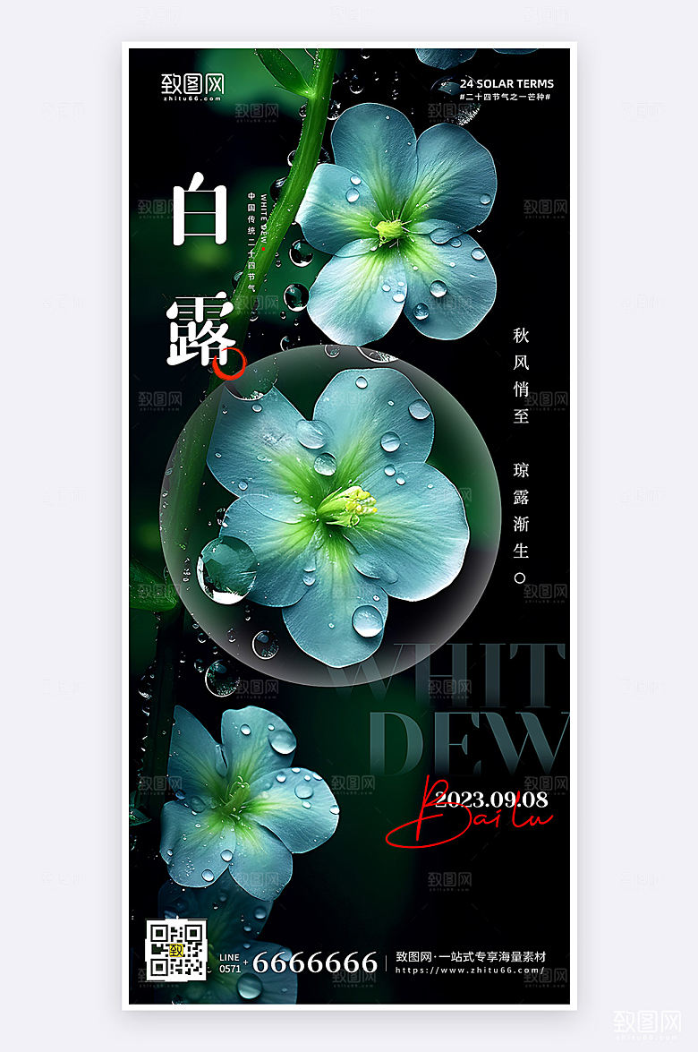 摄影风白露节气祝福简约创意手机海报