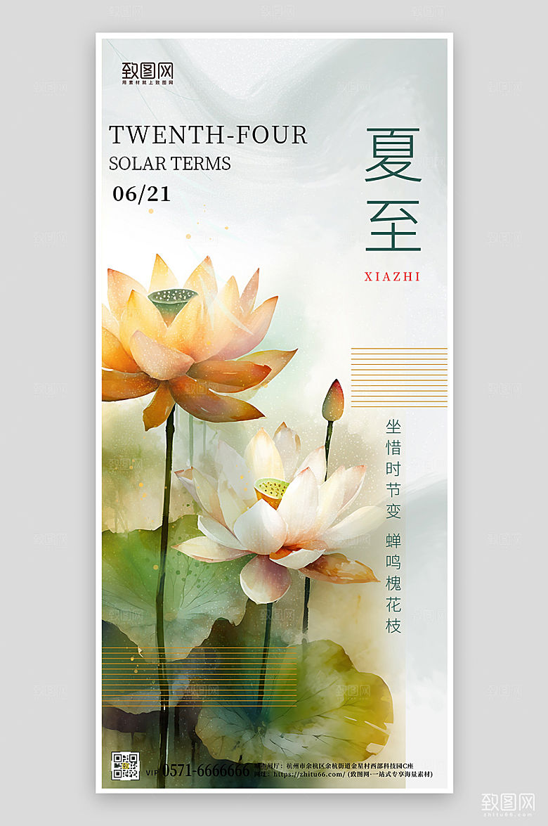 传统节气夏至荷花手机海报