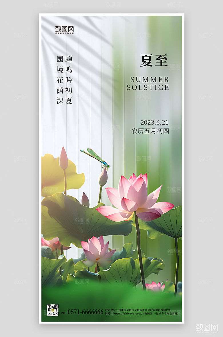 传统节气夏至荷花蜻蜓简约手机海报