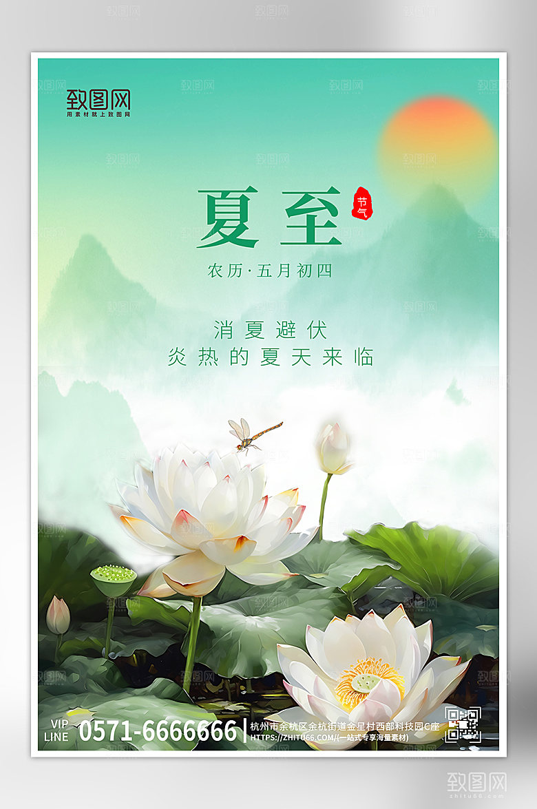 传统节气夏至荷花海报