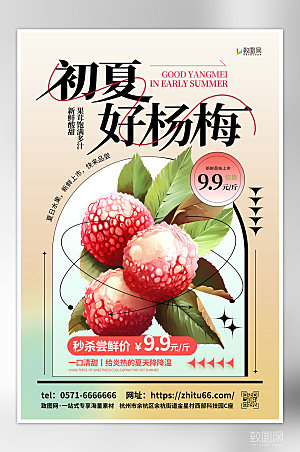 杨梅夏季水果海报