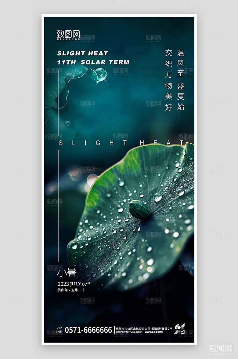 中国传统节气小暑荷叶简约海报