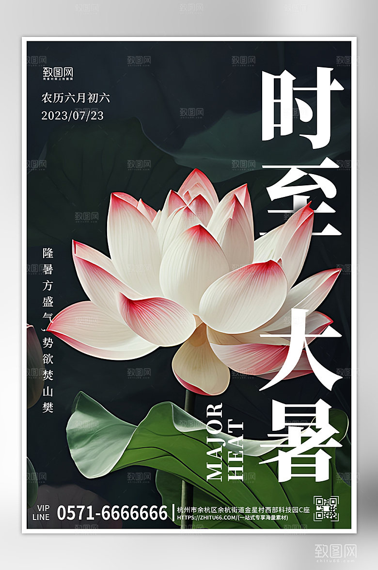 中国传统节气大暑荷花海报