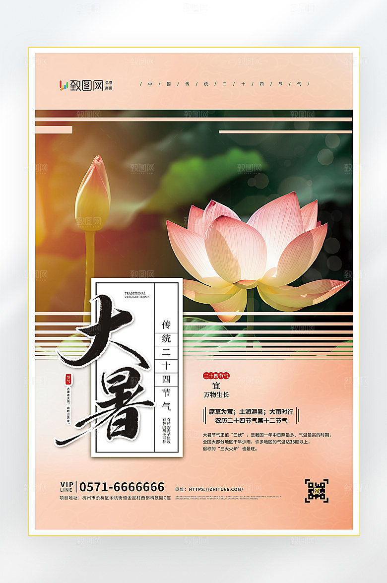 大暑二十四节气大暑节气海报