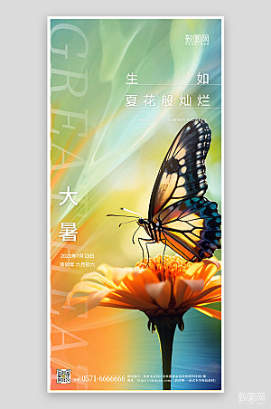 中国传统节气大暑花朵蝴蝶手机海报