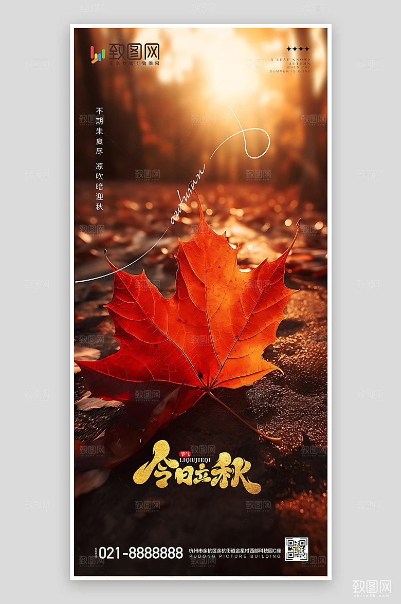 秋天立秋二十四节气海报