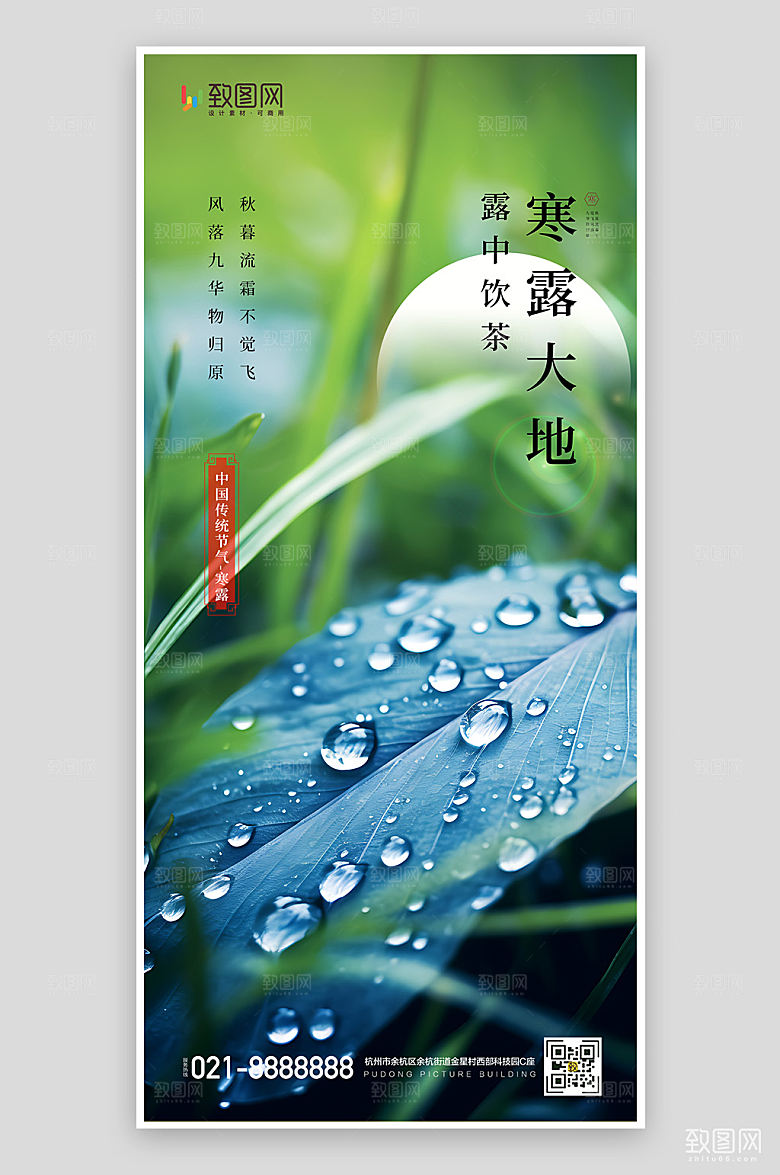 二十四节气寒露海报