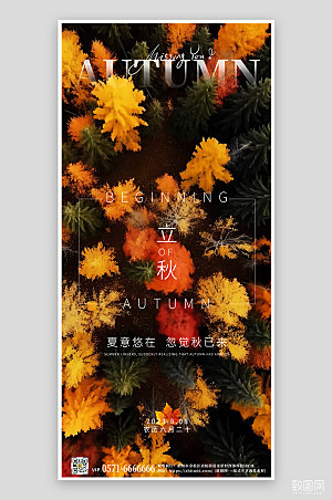中国传统节气立秋树林手机海报