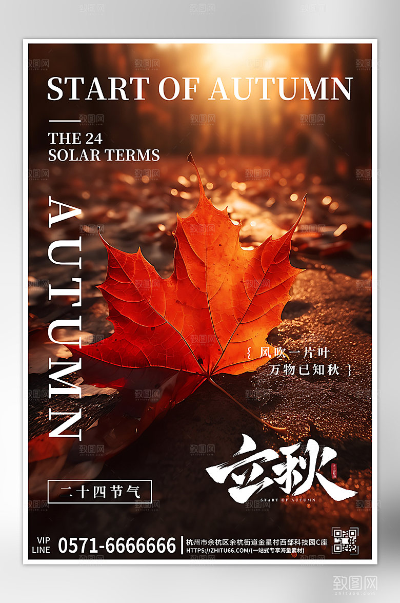 中国传统节气立秋红色枫叶海报