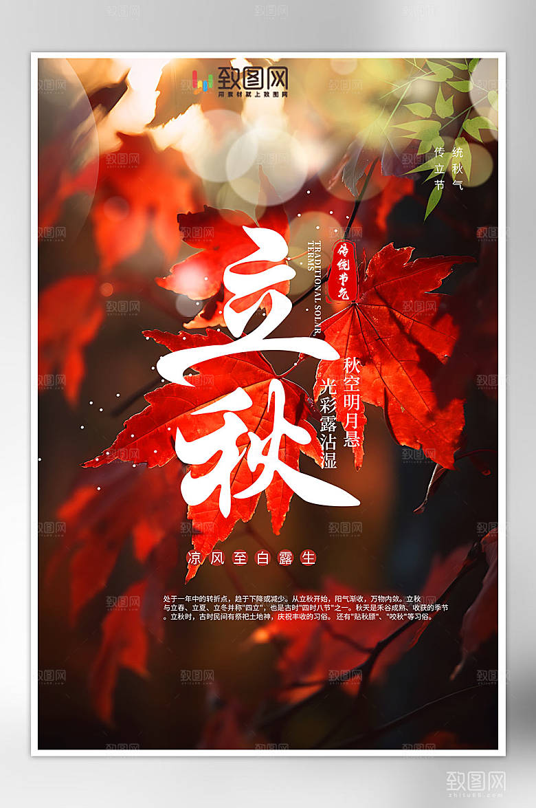 摄影节气立秋节日热点海报
