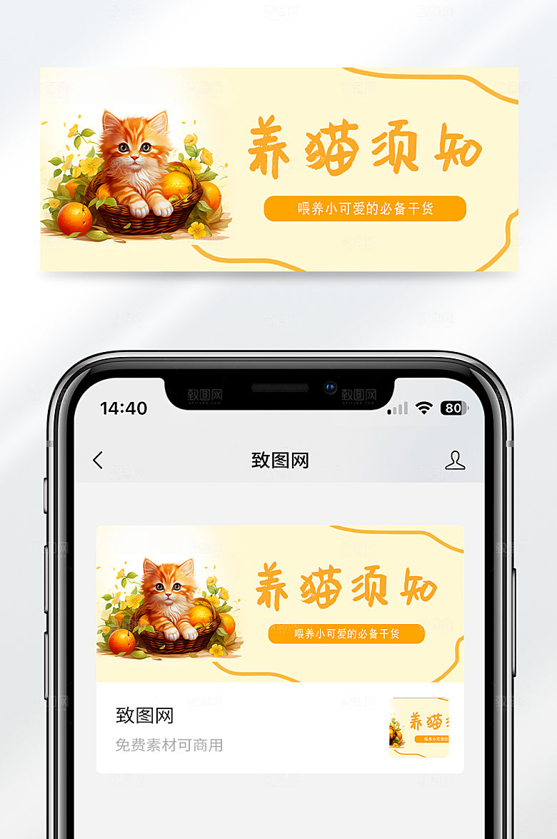养猫须知必备干货公众号封面