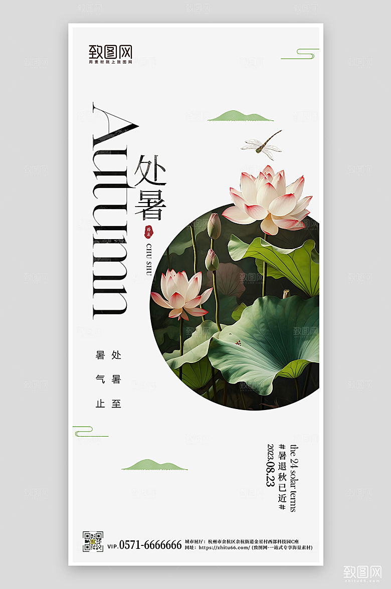 中国传统节气处暑荷花简约手机海报