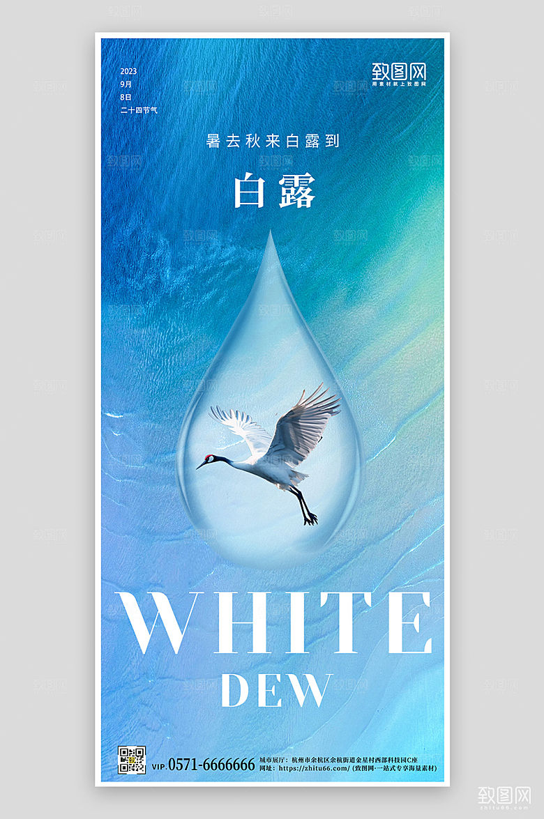传统节气简约白露手机海报