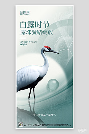 中国传统节气白露手机海报