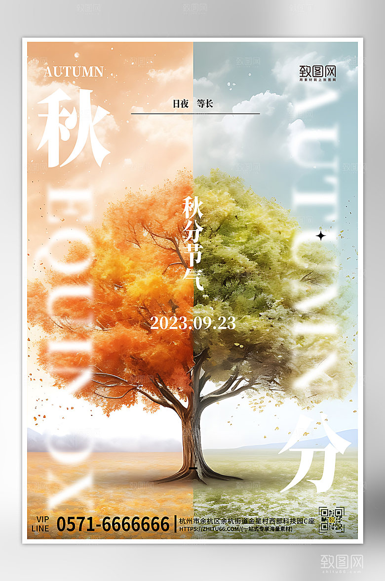 中国传统节气秋分树木海报