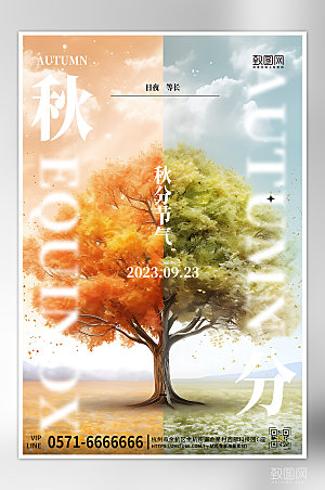 中国传统节气秋分树木海报