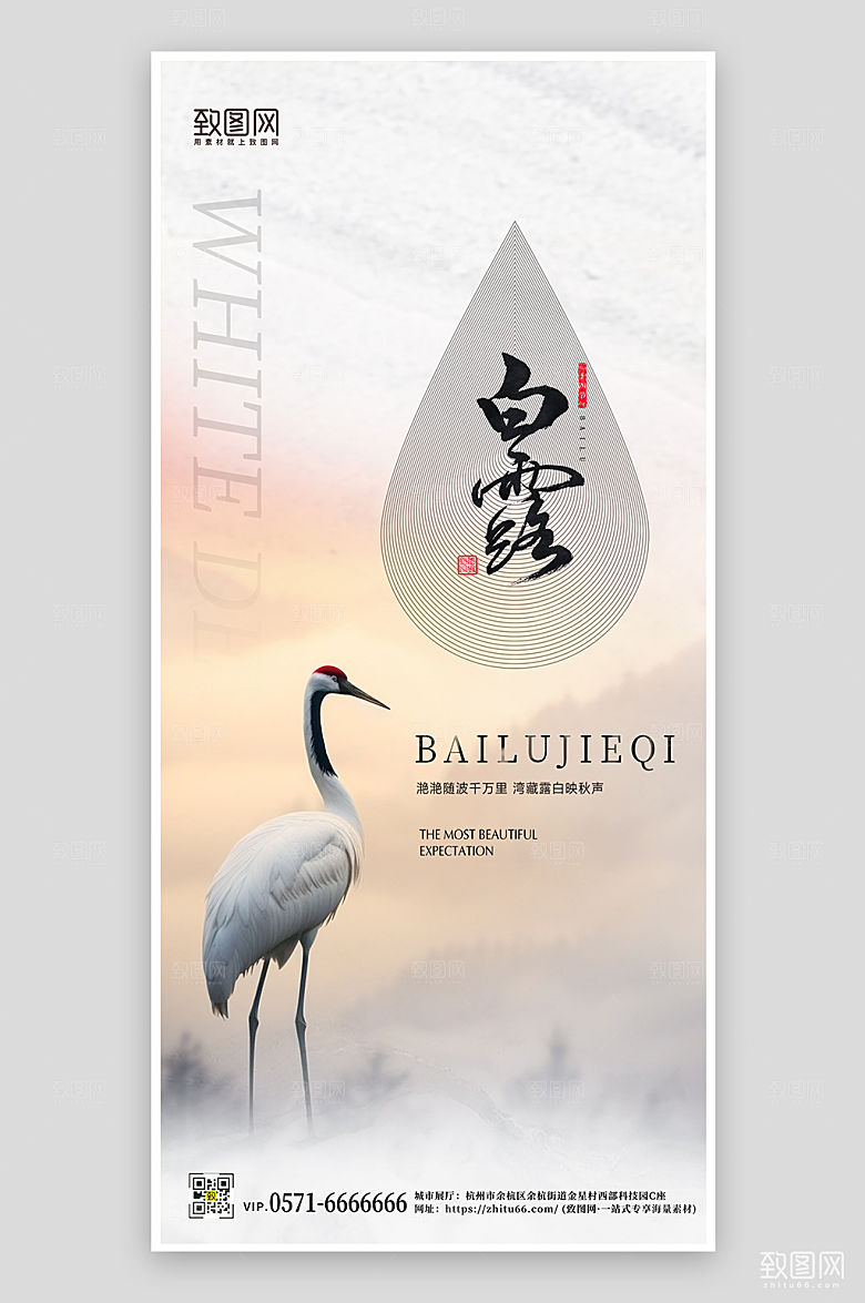 中国传统节气白露简约手机海报