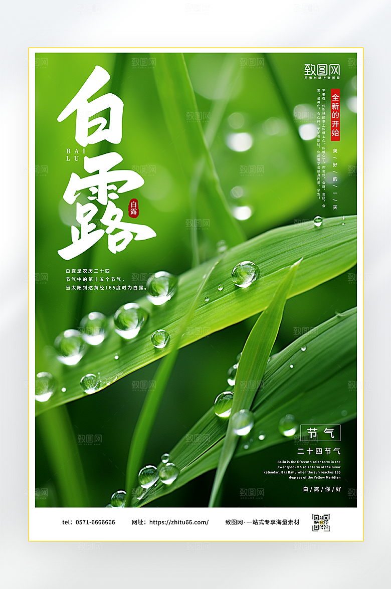 白露节气宣传海报