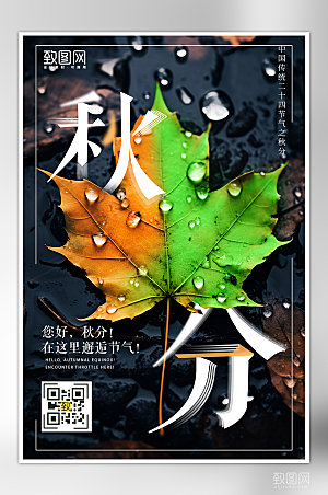 中国传统节气秋分树叶海报