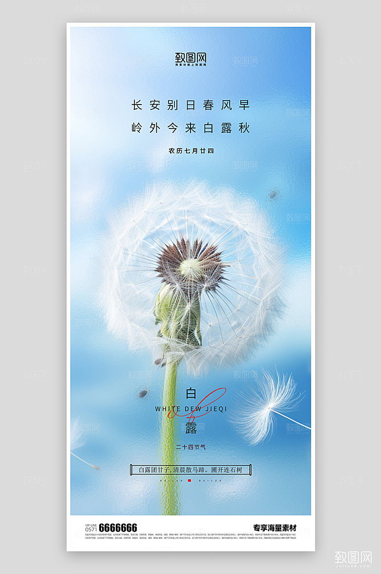 白露节气简约海报