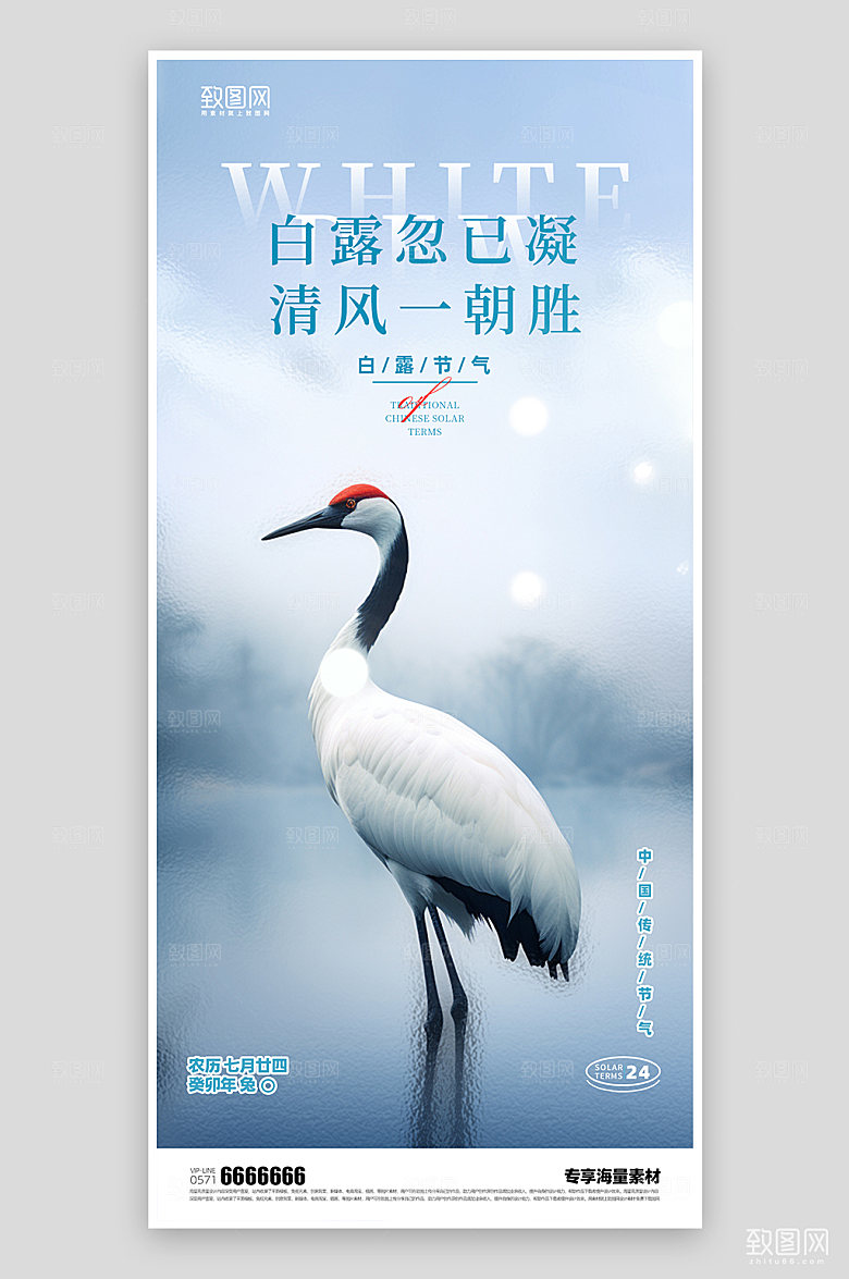 白露节气简约海报