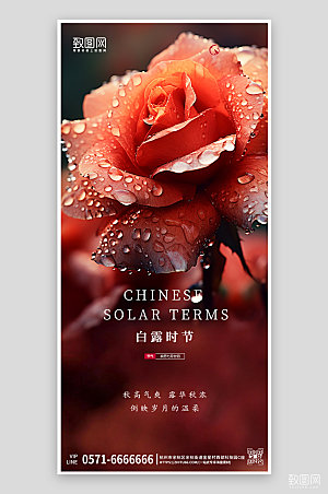 中国传统节气白露玫瑰露珠手机海报