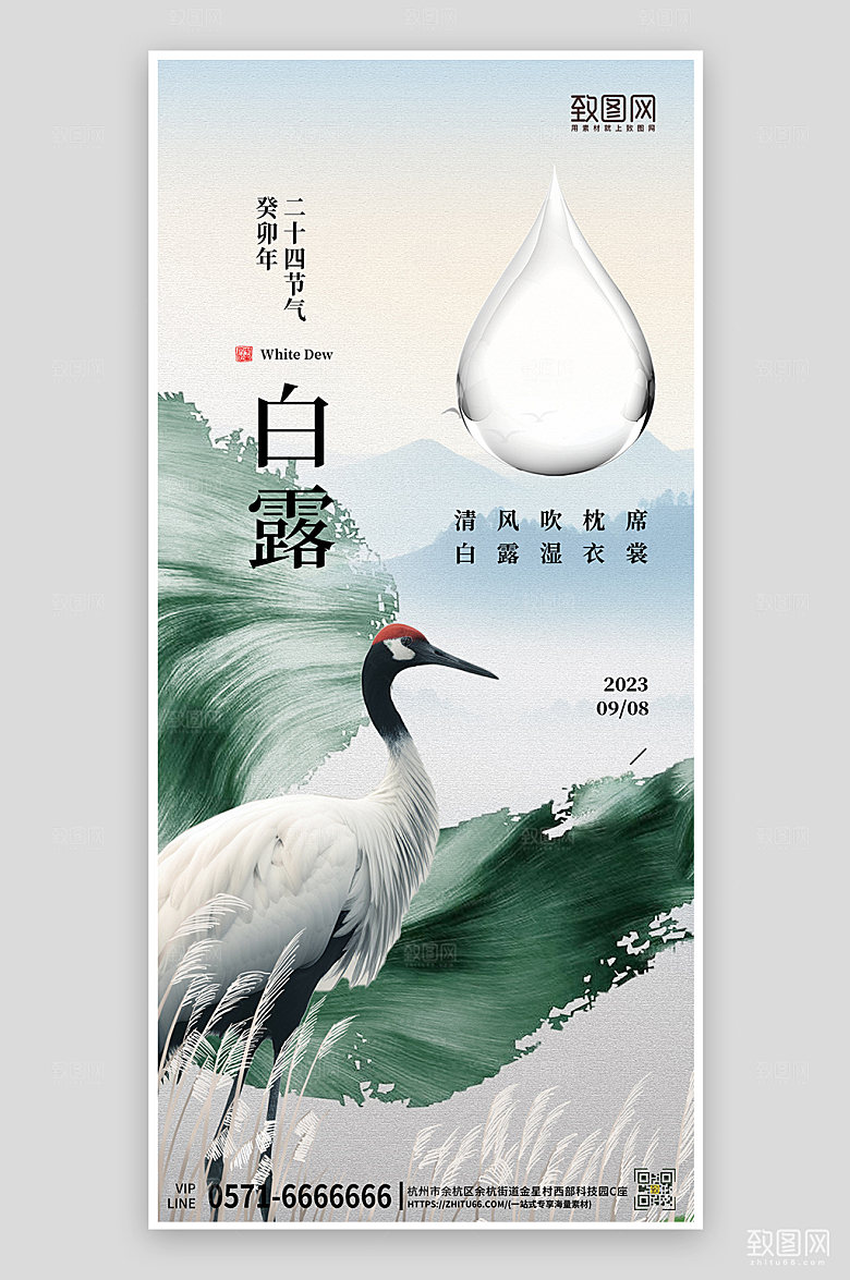 中国传统节气白露简约手机海报