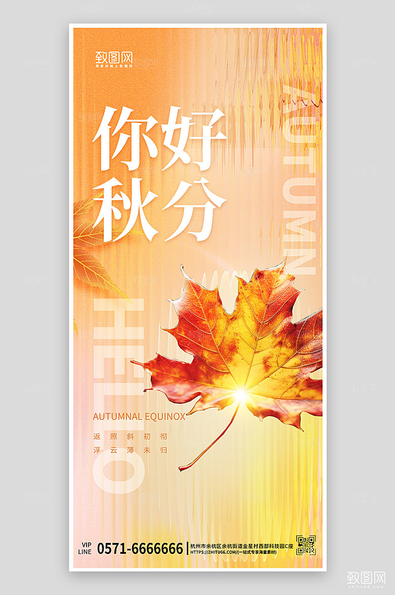 中国传统节气秋分落叶手机海报
