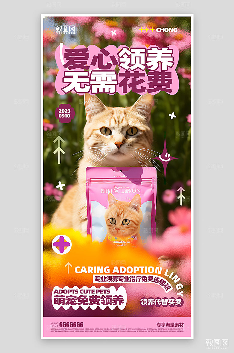 宠物领养宣传海报