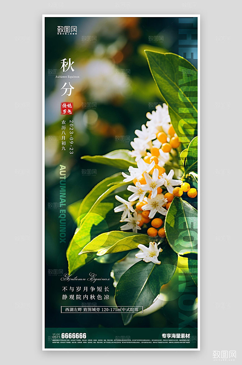 秋分二十四节气海报