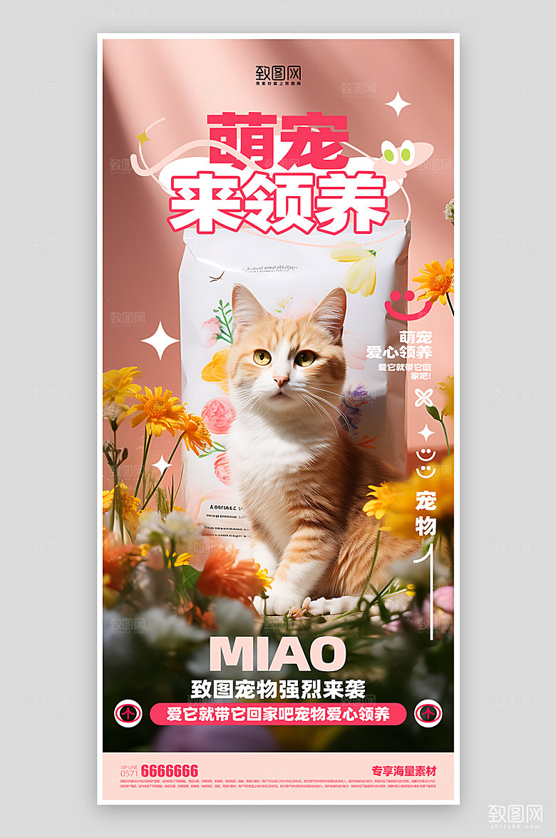 宠物领养宣传海报