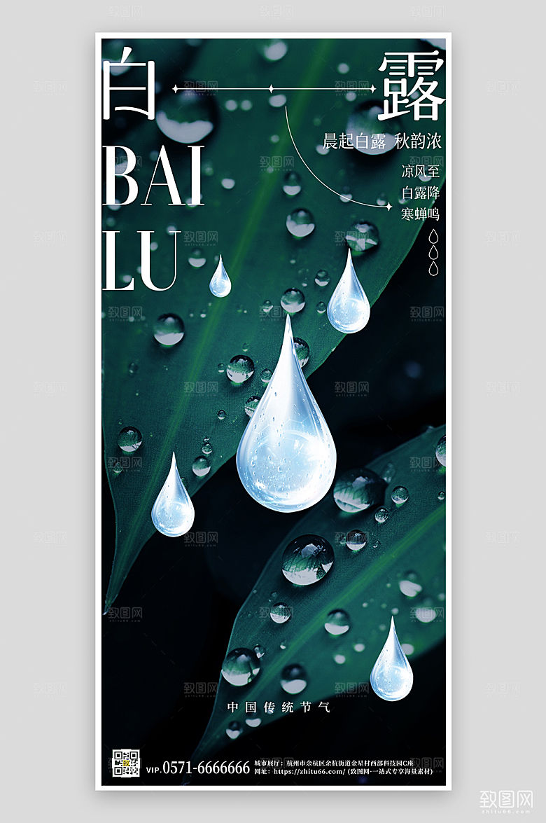 传统节气白露水滴露珠手机海报