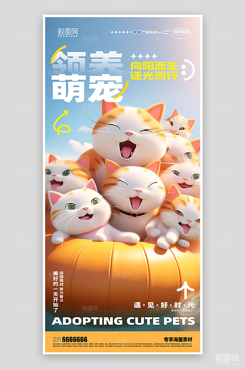 养宠宣传简约海报