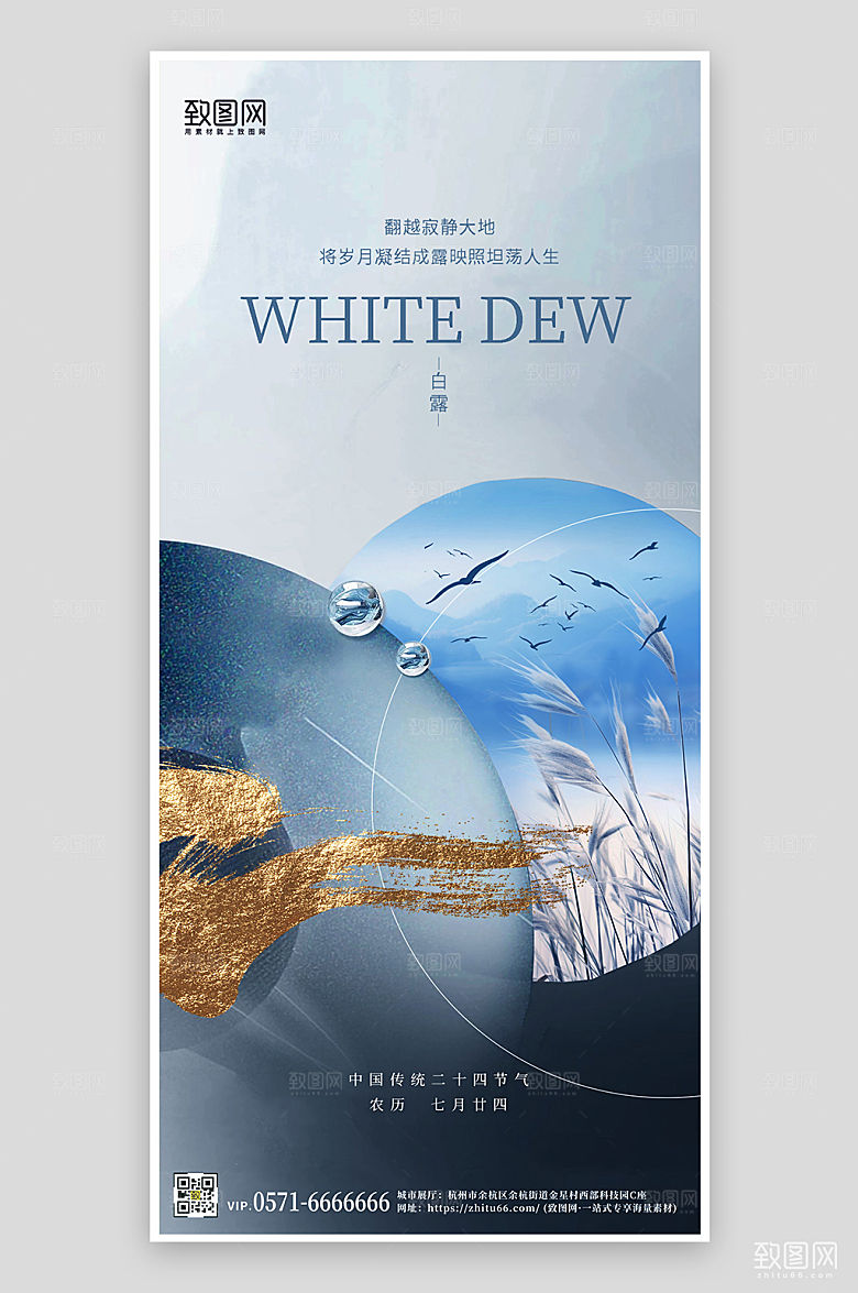 传统节气白露简约芦苇手机海报