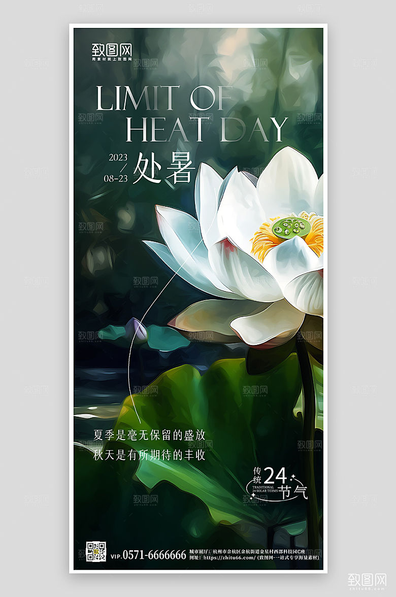 传统节气处暑荷花简约手机海报