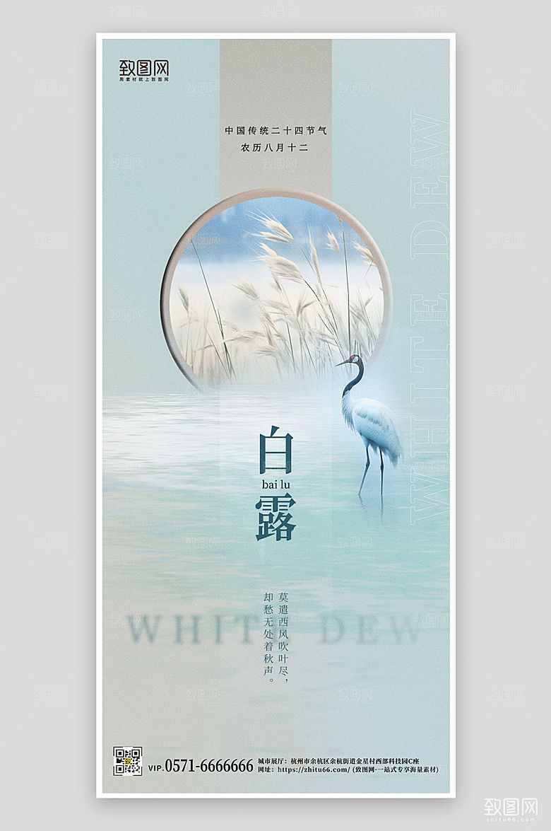 传统节气白露手机海报
