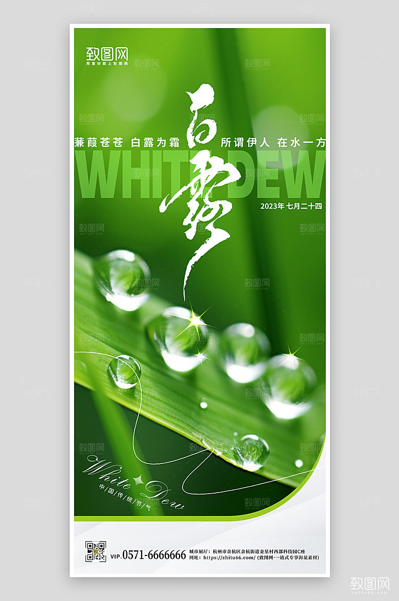 传统节气白露水珠露珠手机海报