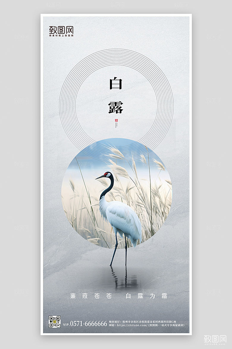 传统节气白露简约手机海报