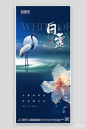 中国传统节气白露简约手机海报