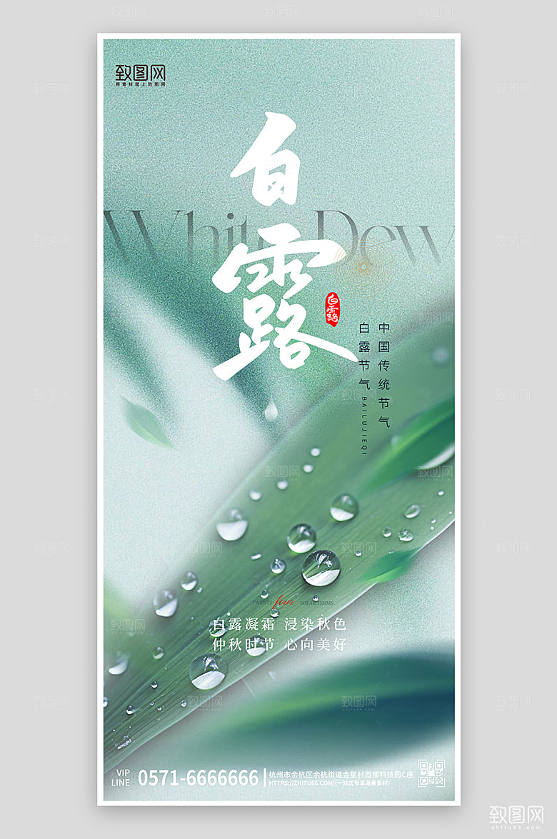 传统节气白露露珠绿叶手机海报